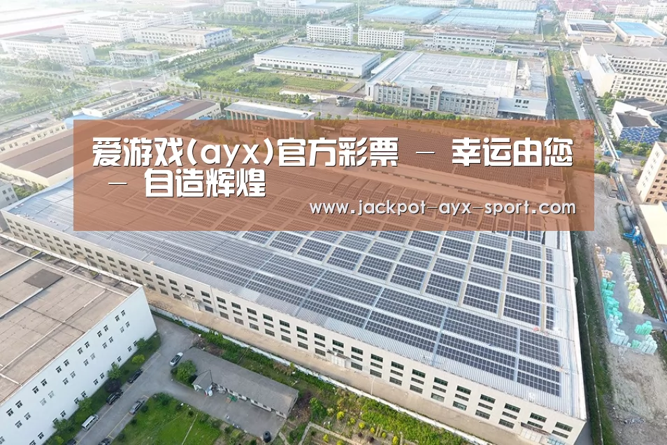 案例展示二