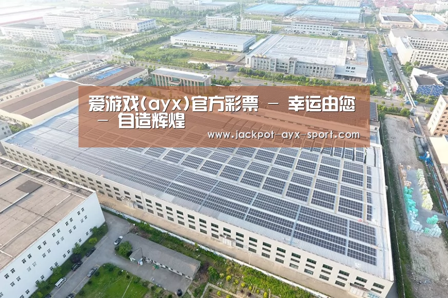 案例展示一