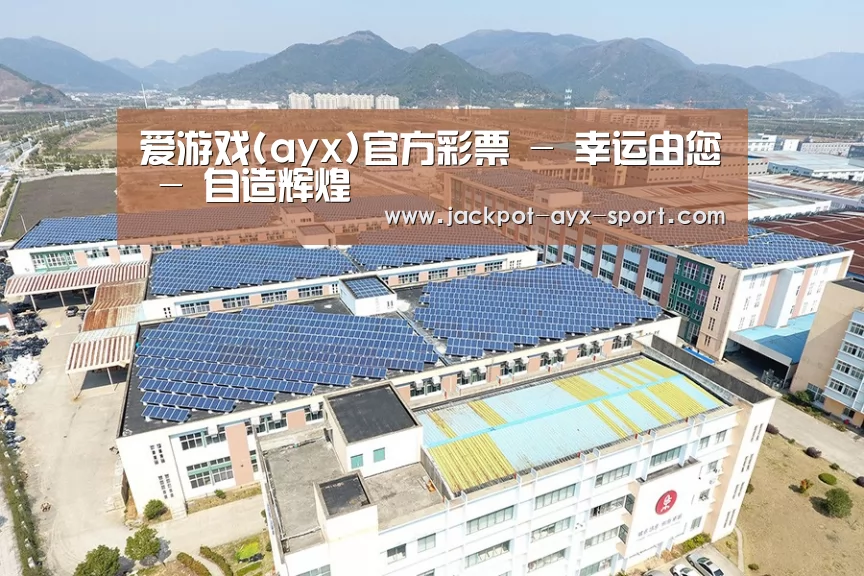 案例展示一