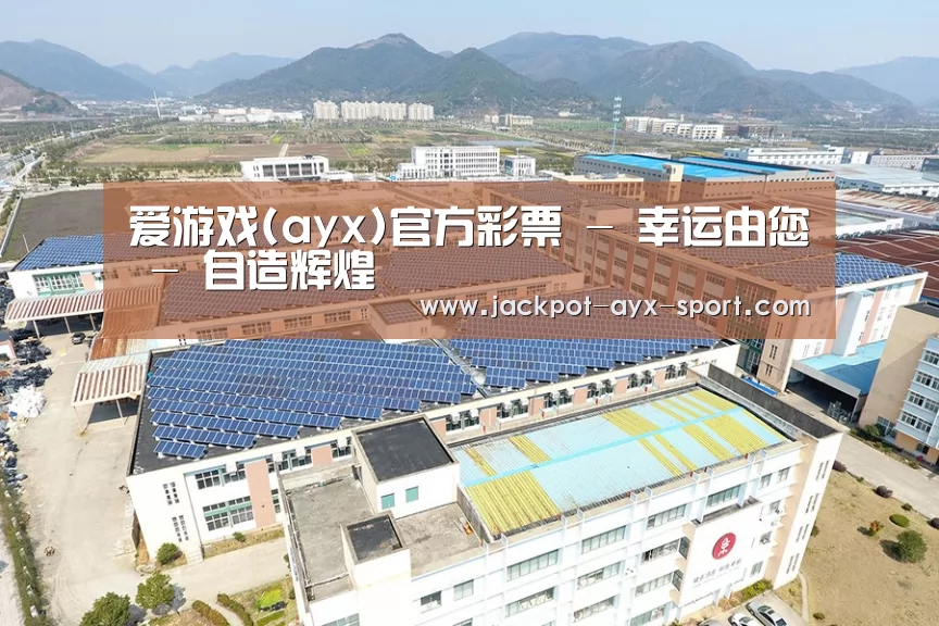 案例展示四