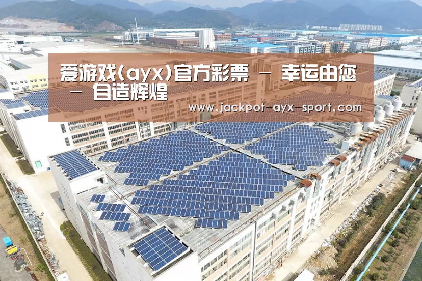 案例展示二