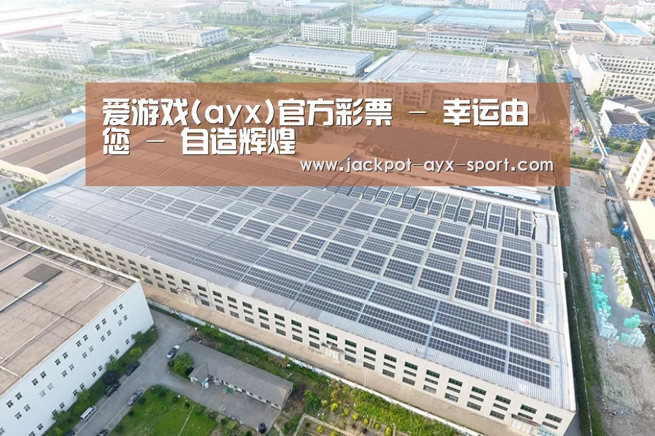 案例展示二