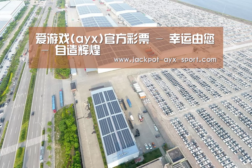 案例展示一