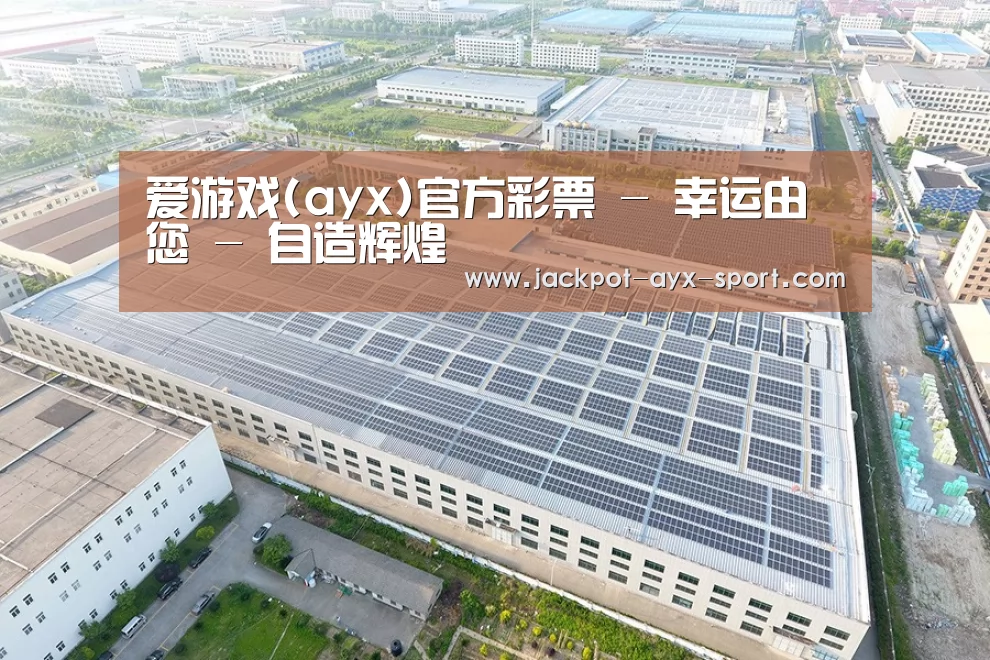 案例展示三