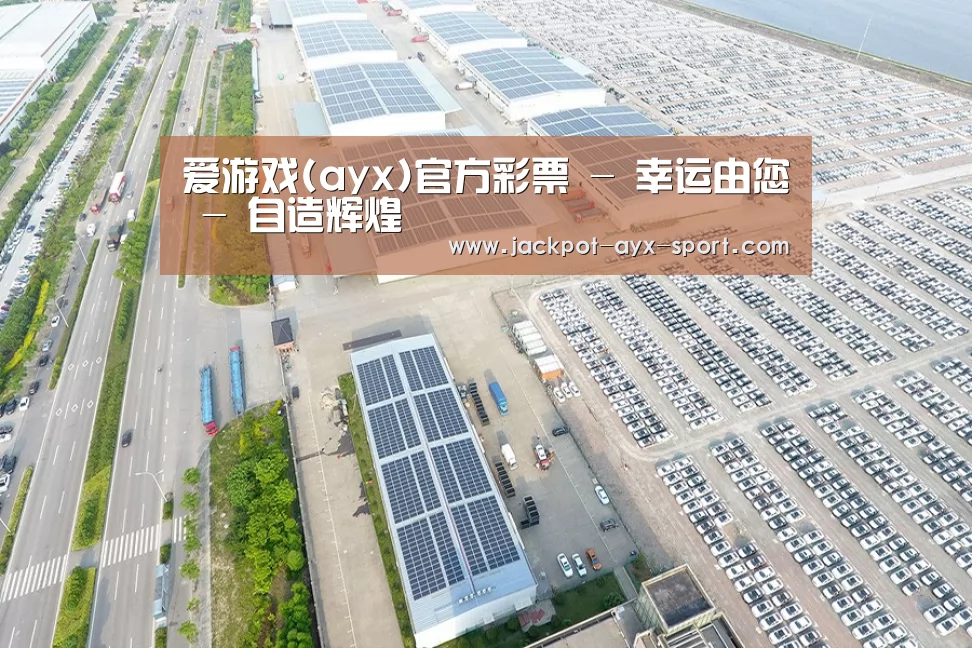 案例展示四
