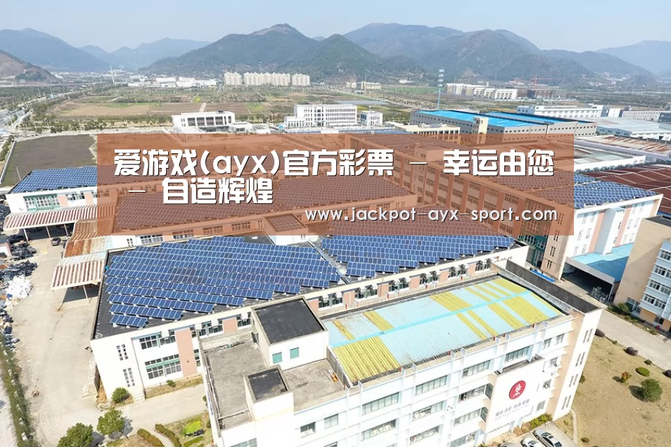 案例展示三