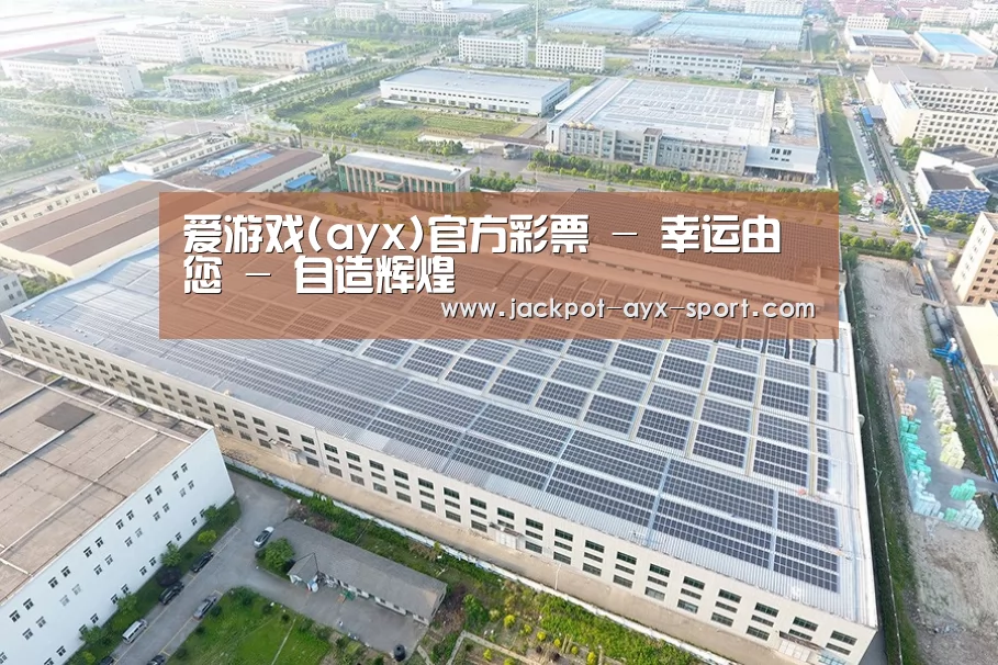 案例展示四