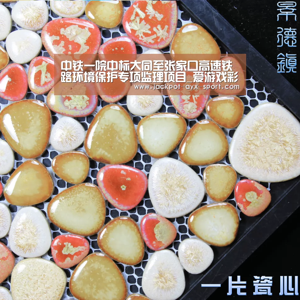 中铁一院中标大同至张家口高速铁路环境保护专项监理项目_爱游戏彩票(图1) 爱游戏首页