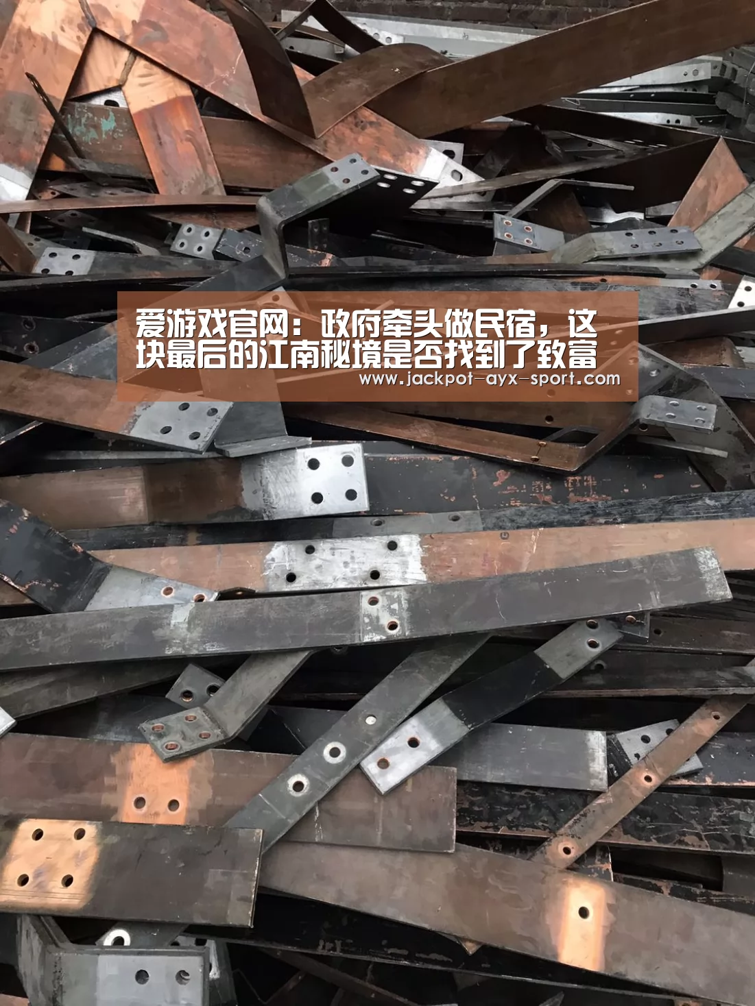 爱游戏官网:政府牵头做民宿,这块最后的江南秘境是否找到了致富捷径(图3) 爱游戏体育彩票