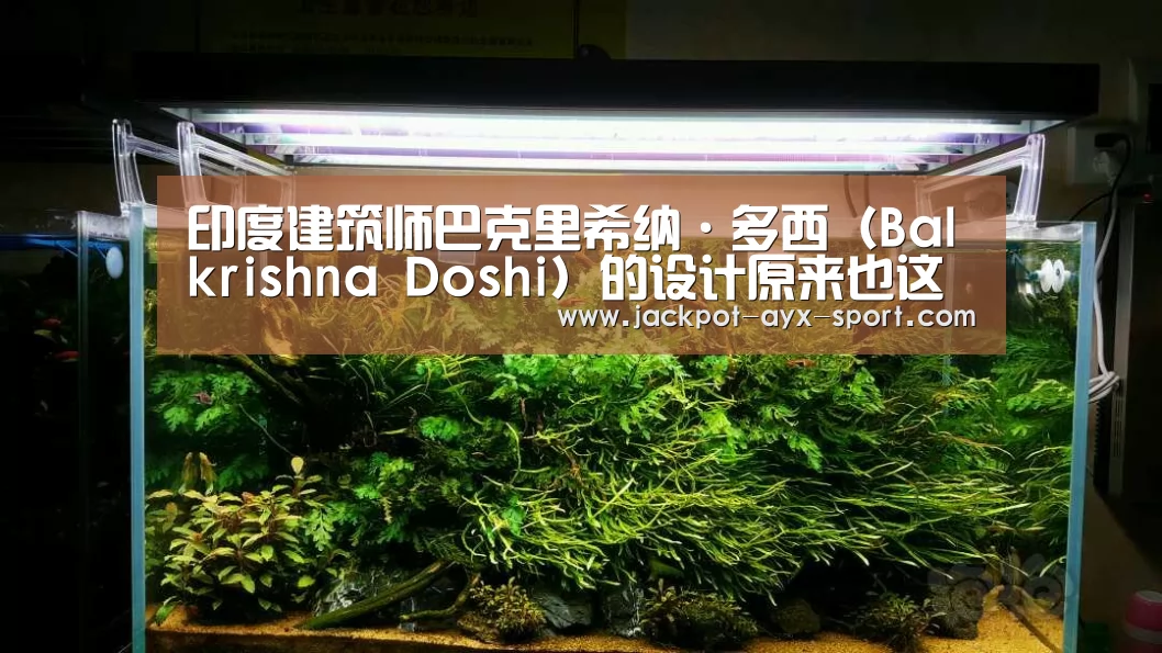 印度建筑师巴克里希纳·多西(Balkrishna Doshi)的设计原来也这样出乎意料的好_爱游戏彩票(图3) 爱游戏体育彩票