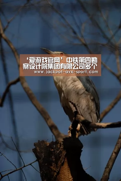 ‘爱游戏官网’中铁第四勘察设计院集团有限公司多个项目、个人荣获武汉行业劳动竞赛 “双十佳”称号(图3) 爱游戏体育彩票