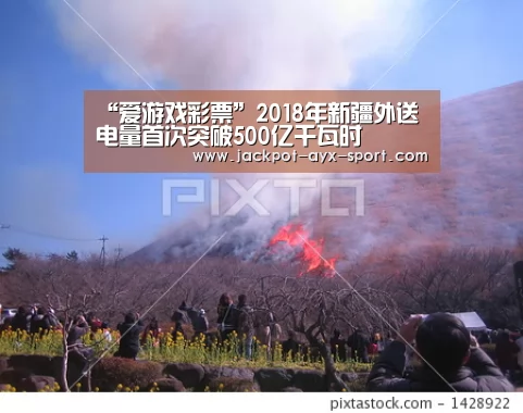 “爱游戏彩票”2018年新疆外送电量首次突破500亿千瓦时(图3) 爱游戏官网