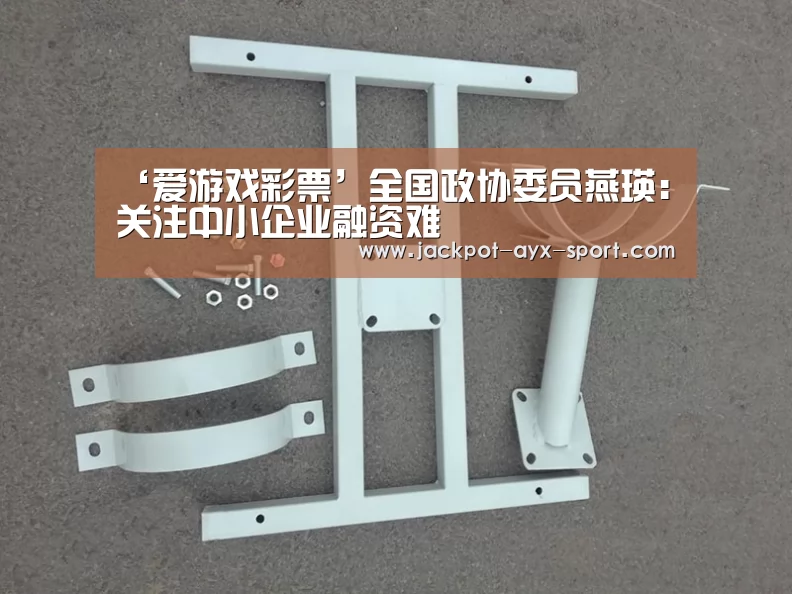 ‘爱游戏彩票’全国政协委员燕瑛:关注中小企业融资难(图2) 爱游戏彩票