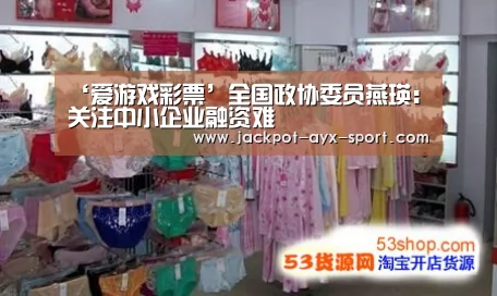 ‘爱游戏彩票’全国政协委员燕瑛:关注中小企业融资难(图1) 爱游戏首页