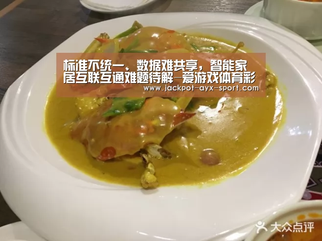 标准不统一、数据难共享,智能家居互联互通难题待解-爱游戏体育彩票(图1) 爱游戏彩票