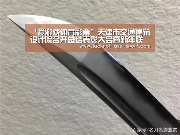 ‘爱游戏体育彩票’天津市交通建筑设计院召开总结表彰大会暨新年联欢会(图1) 爱游戏官网