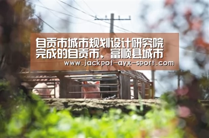 自贡市城市规划设计研究院完成的自贡市、富顺县城市地下综合管廊规划及实施方案通过省厅评审“爱游戏彩票”(图1) 爱游戏彩票