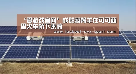 爱游戏首页