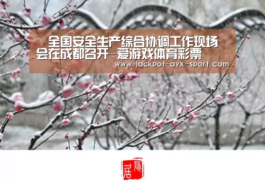 全国安全生产综合协调工作现场会在成都召开-爱游戏体育彩票(图3) 爱游戏首页