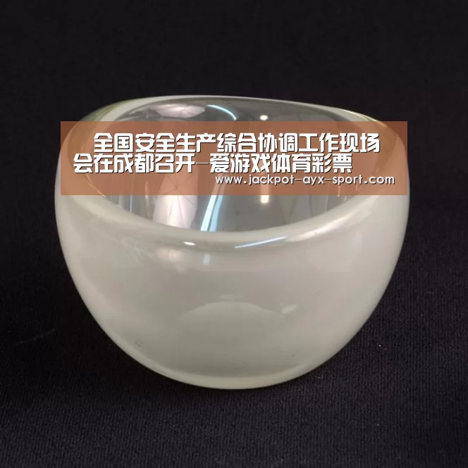 全国安全生产综合协调工作现场会在成都召开-爱游戏体育彩票(图4) 爱游戏体育彩票