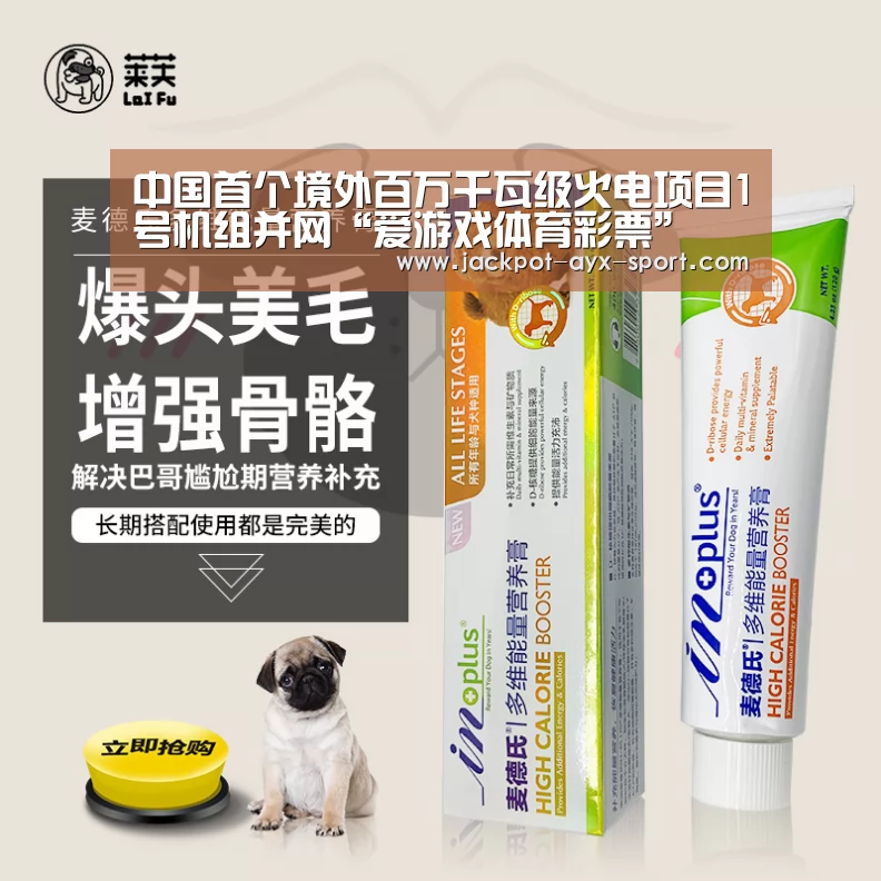中国首个境外百万千瓦级火电项目1号机组并网“爱游戏体育彩票”(图4) 爱游戏首页
