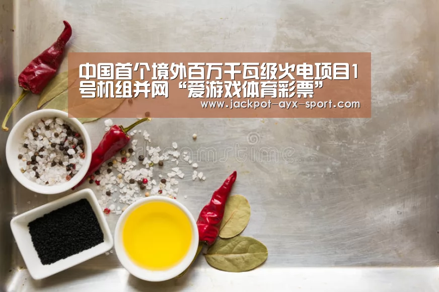 中国首个境外百万千瓦级火电项目1号机组并网“爱游戏体育彩票”(图1) 爱游戏彩票