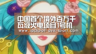 中国首个境外百万千瓦级火电项目1号机组并网“爱游戏体育彩票”(图2) 爱游戏彩票