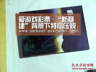 爱游戏彩票-“新基建”背景下特高压规划与投资推进超预期(图1) 爱游戏体育彩票