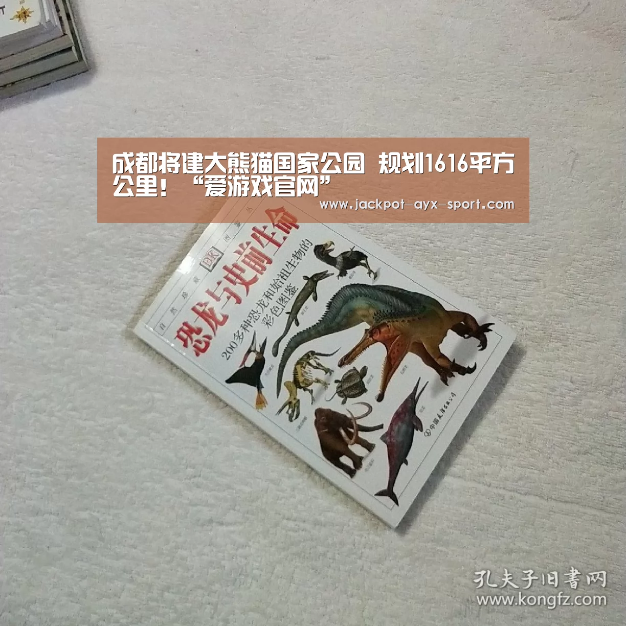 成都将建大熊猫国家公园 规划1616平方公里!“爱游戏官网”(图1) 爱游戏彩票